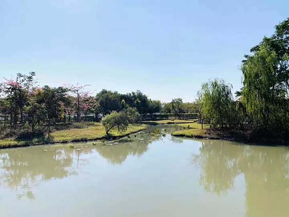 團(tuán)建回顧|華陽湖大挑戰(zhàn)！尋找和生“三好青年”？